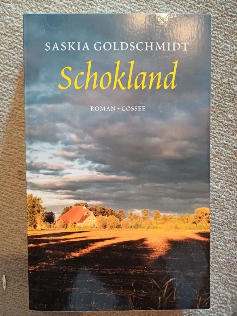 Saskia Goldschmidt - Schokland, Ophalen of Verzenden, Zo goed als nieuw, Nederland, Saskia Goldschmidt