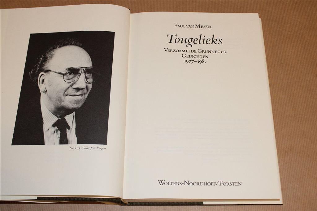 Tougelieks [1977-1987] — Groninger Dialect Gedichten, Ophalen of Verzenden, Gelezen