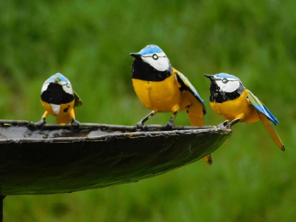Vogelbad met 3 Vogeltjes - Tuinsteker - Metaal, Ophalen of Verzenden, ., ., .