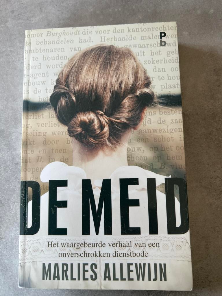 De Meid - Marlies Allewijn (biografische roman), Boeken, Ophalen of Verzenden, Gelezen, Overige