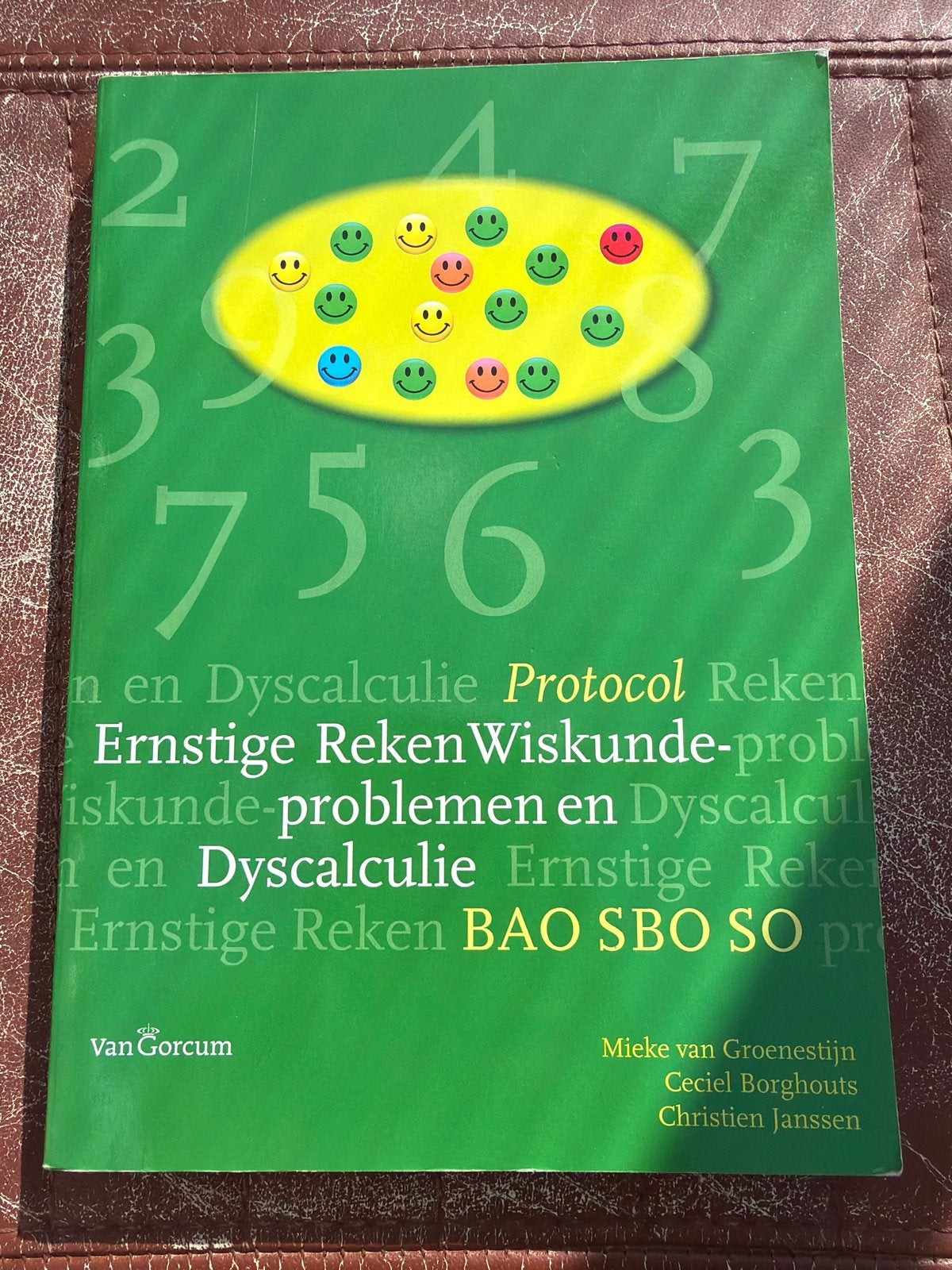 Protocol Ernstige RekenWiskunde-problemen en Dyscalculie, Ophalen of Verzenden, Beta, Zo goed als nieuw, Overige niveaus
