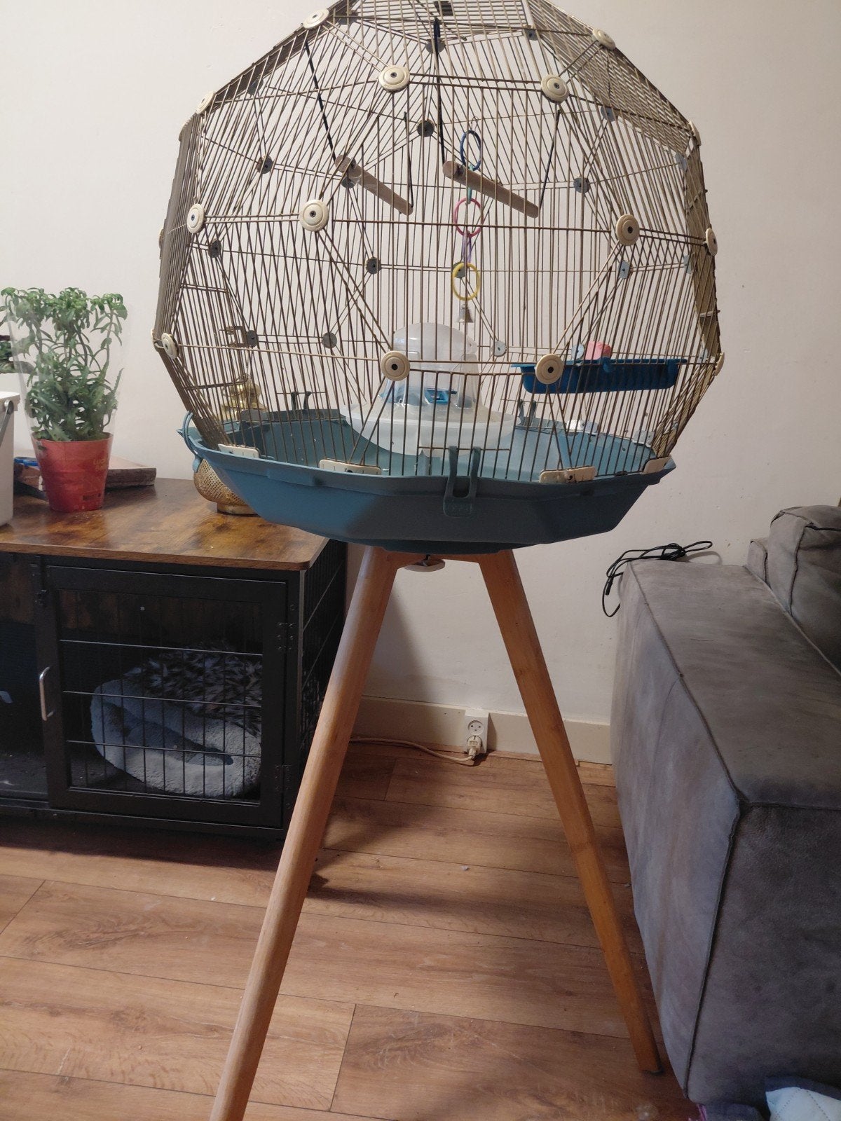 Omlet kooi. Goud- turquoise., Ophalen of Verzenden, Zo goed als nieuw, Metaal, Vogelkooi