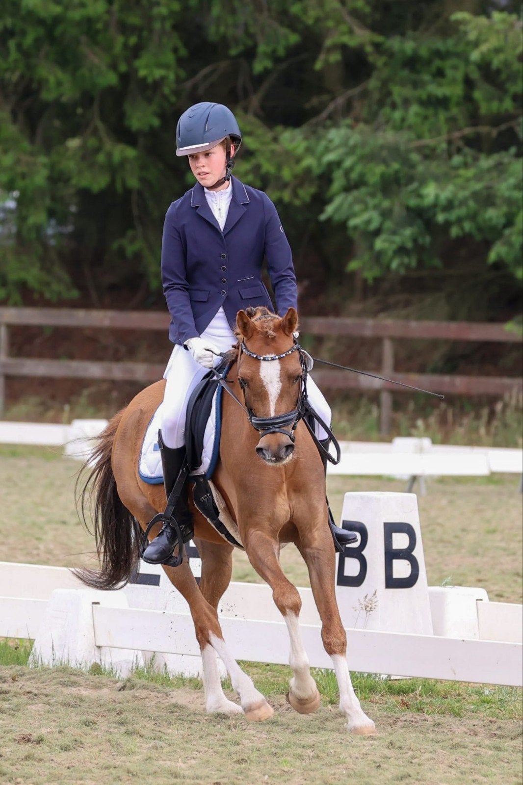Knappe talentvolle C sportpony
8 jaar, Dieren en Toebehoren, Pony's, Ruin