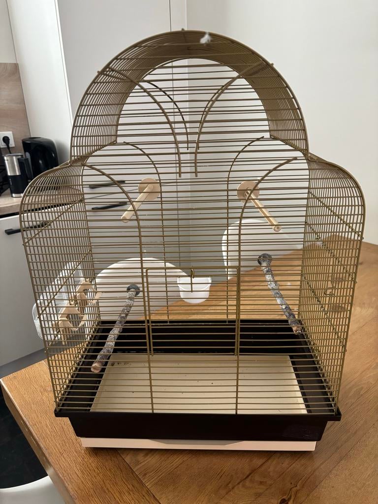 Mooie vogelkooi, Ophalen, Gebruikt, Metaal, Vogelkooi