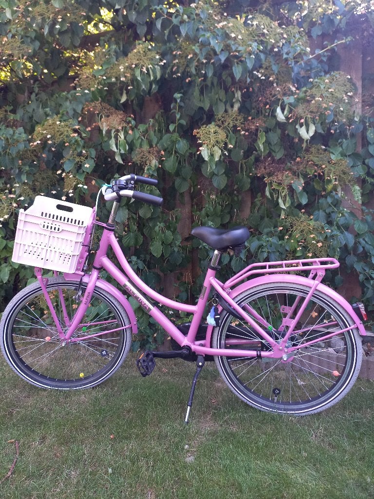 Fiets meisjesfiets Alpina, Fietsen en Brommers, Fietsen | Meisjes, Ophalen, Terugtraprem, 22 inch, Gebruikt