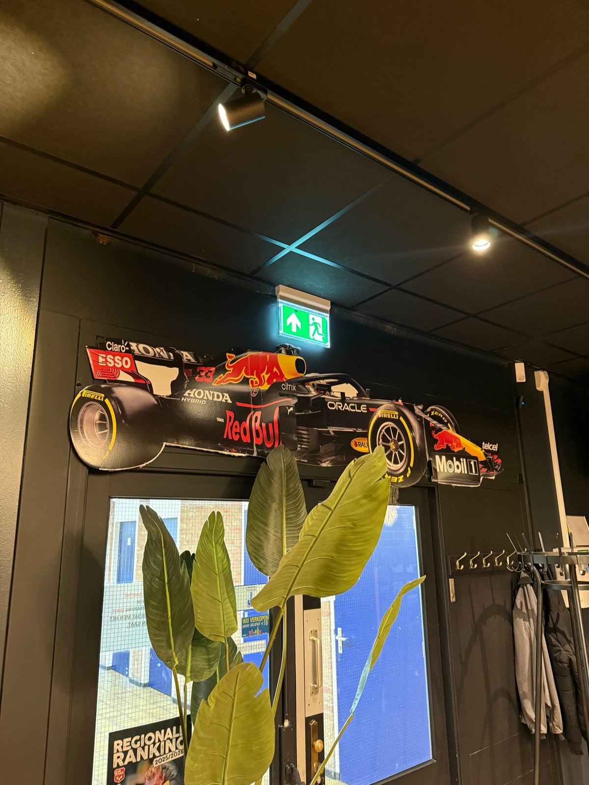 Max Verstappen Red Bull F1 Kartonnen Raceauto Decoratie, Ophalen, Zo goed als nieuw