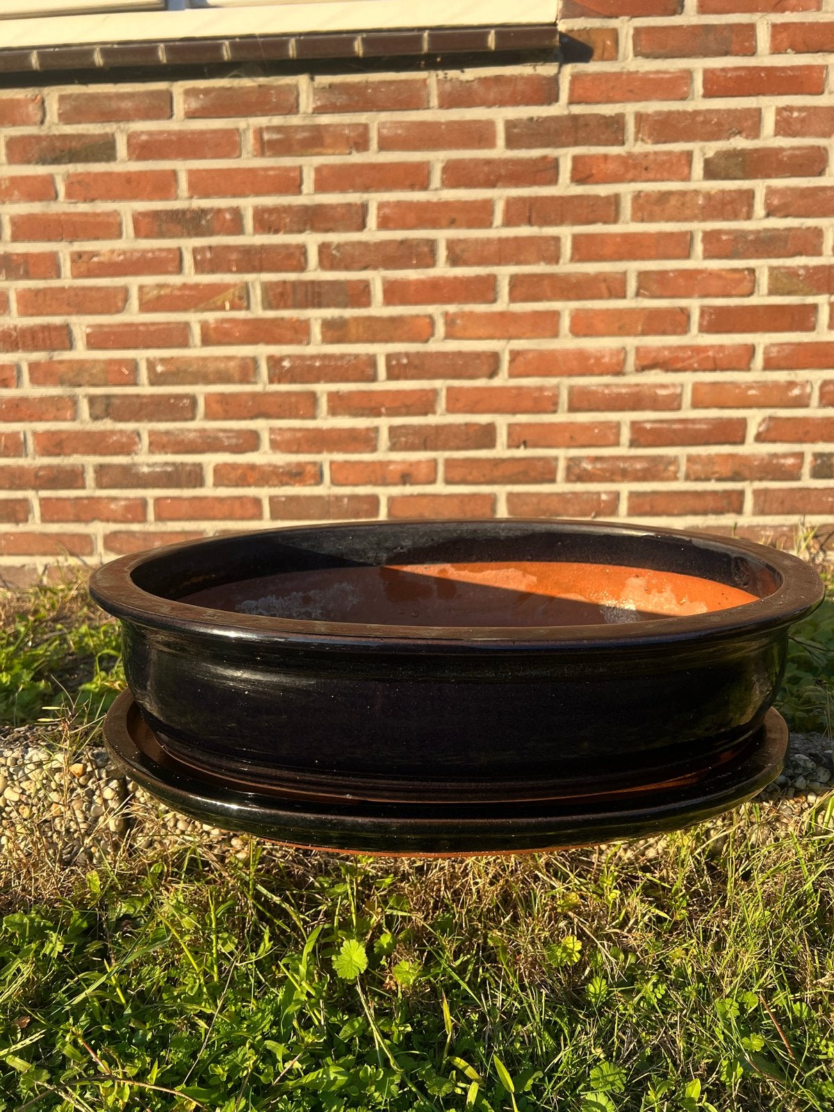 Keramische Bonsai Pot - 52 cm Ovaal, Ophalen, Gebruikt, 40 cm of meer, Rond