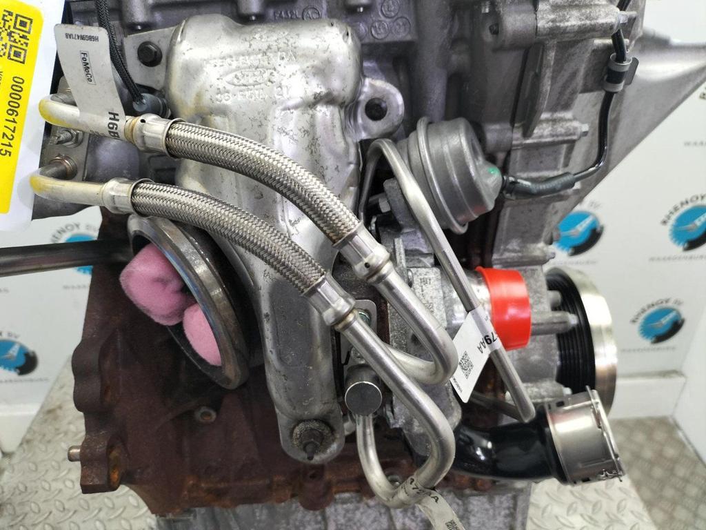 FORD FIESTA ACTIVE TURBO 2020, Ophalen of Verzenden, Gebruikt, Stiba lid