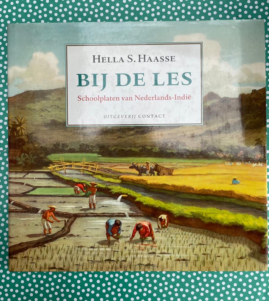 Bij de les, door Hella S. Haasse, Boeken, Ophalen of Verzenden, Zo goed als nieuw, Azië