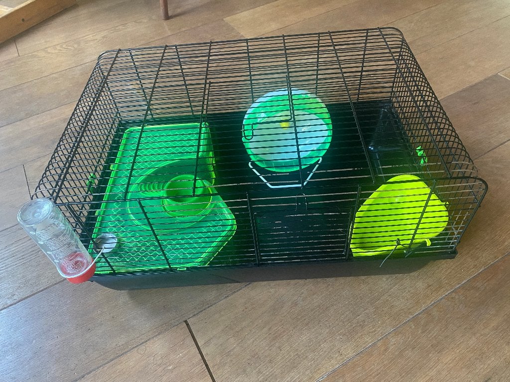 Knaagdierkooi inclusief inrichting, Dieren en Toebehoren, Knaagdieren en Konijnen | Hokken en Kooien, Minder dan 60 cm, Kooi, Gebruikt