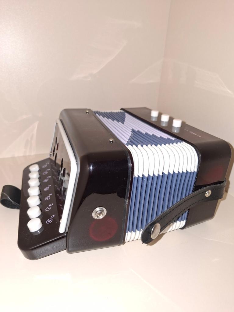 Mini accordeon (nieuw!), Ophalen of Verzenden, 120-bas, Overige merken
