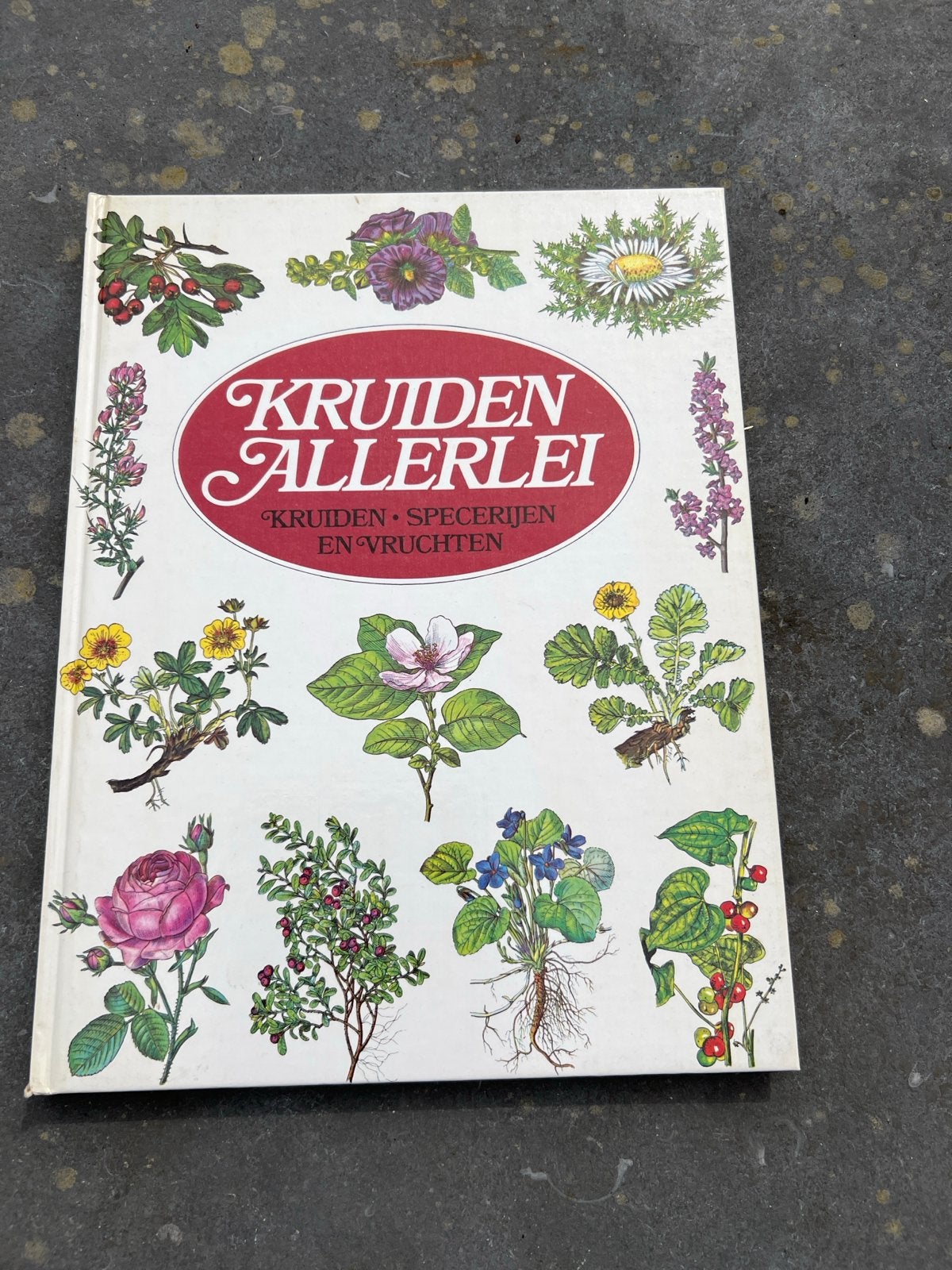 Kruiden Allerlei: Kruiden, Specerijen en Vruchten, Boeken, Ophalen of Verzenden, Gelezen, Bloemen, Planten en Bomen