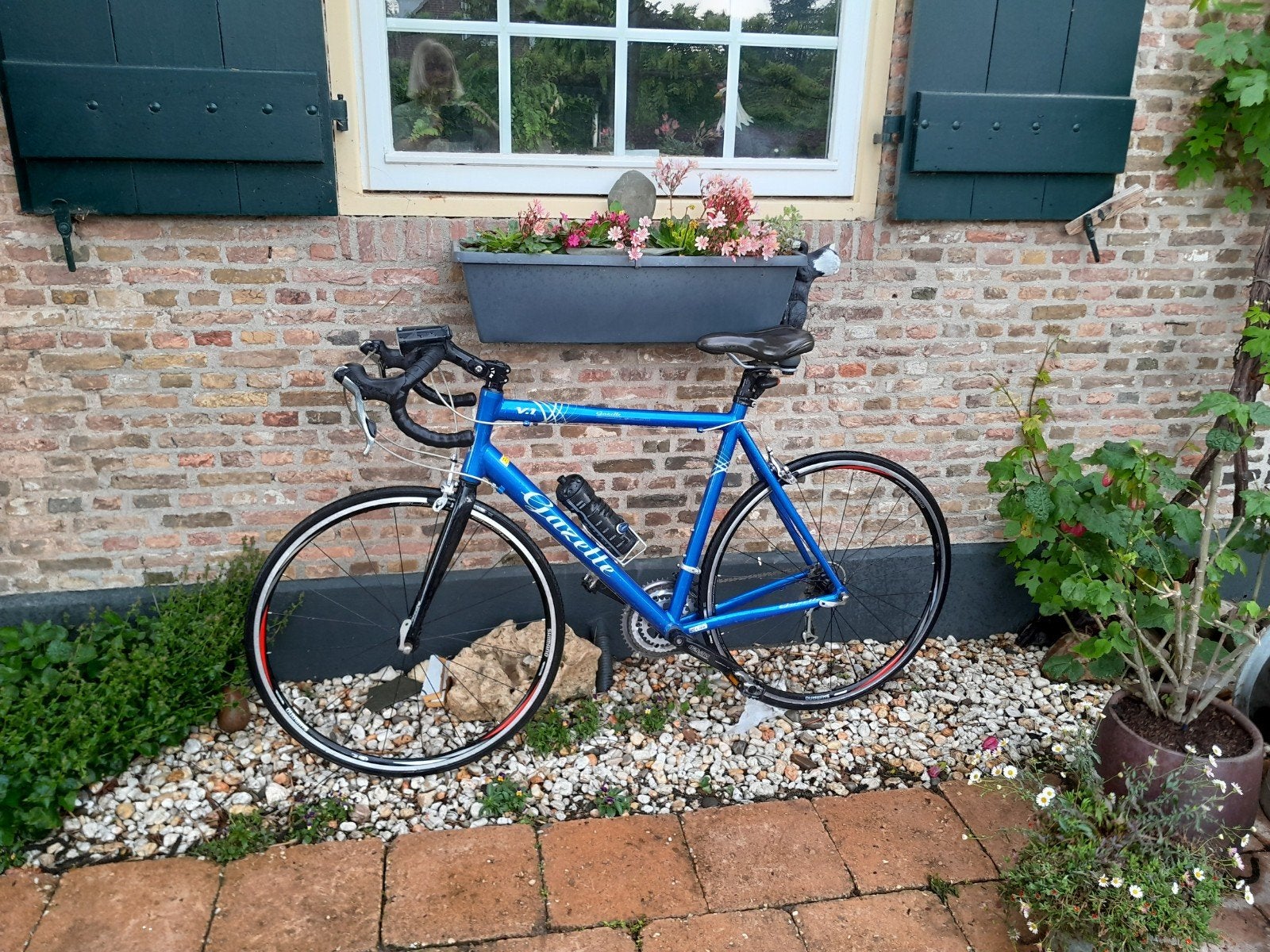 gazelle race fiets, Ophalen, Zo goed als nieuw, Hondenkar, 80 kg of meer