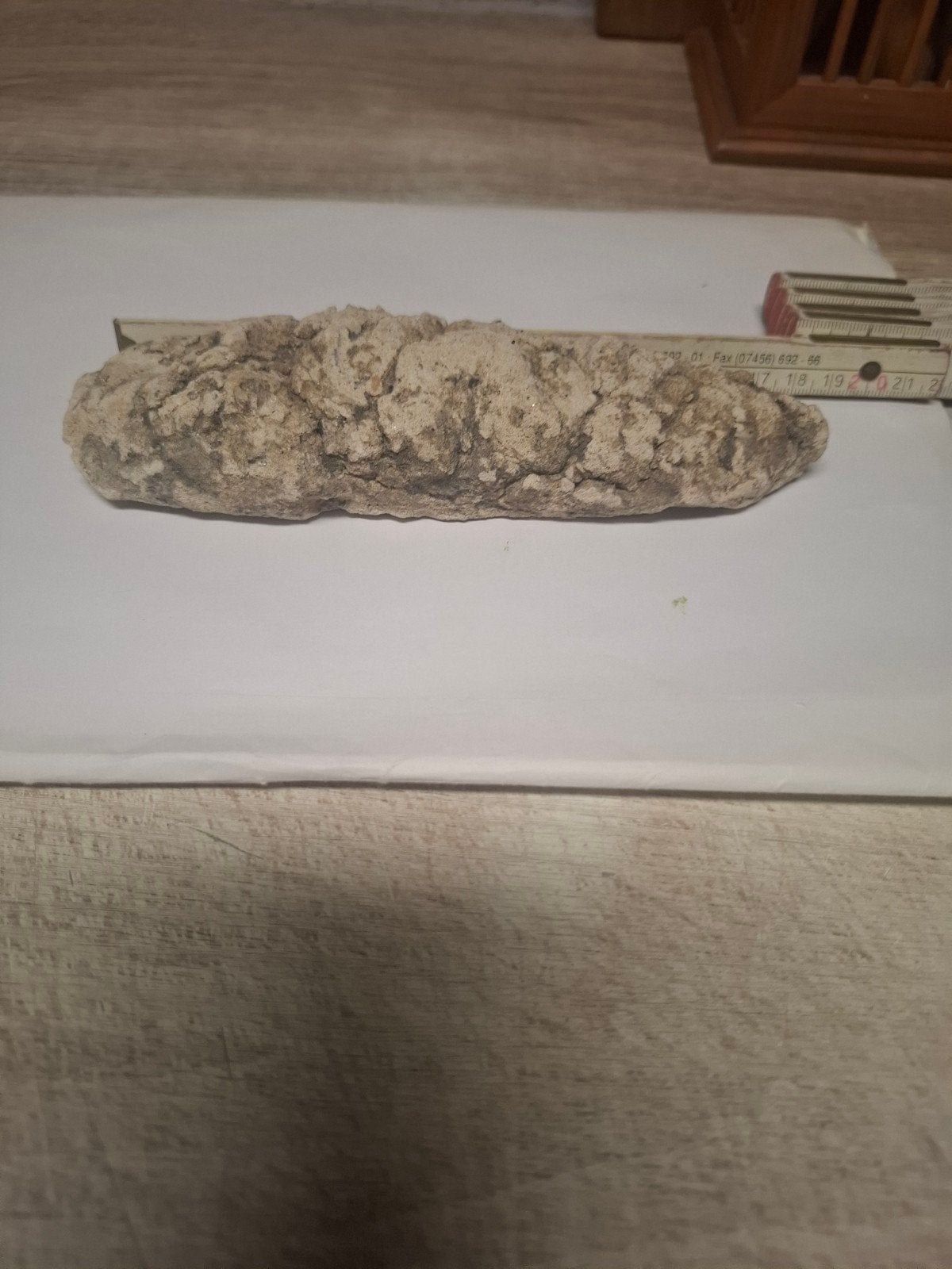 Uniek Fossiel - Coproliet (gefossiliseerde uitwerpselen), Ophalen of Verzenden, Fossiel
