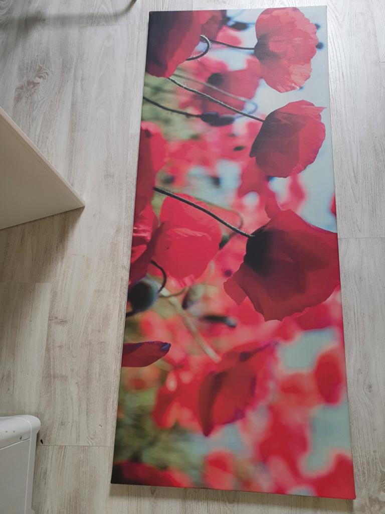 IKEA PJÄTTERYD Canvas met klaprozen 140x56 cm, Huis en Inrichting, Gebruikt, Ophalen of Verzenden, Print, 75 cm of meer