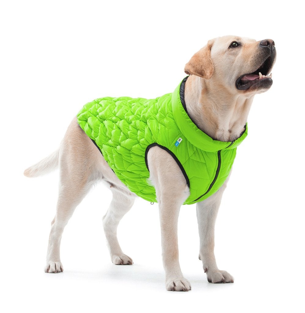 AiryVest UNI Hondenjas Omkeerbaar L55 Lightgreen-Black -50%!, Dieren en Toebehoren, Hondenkleding, Ophalen of Verzenden, Nieuw