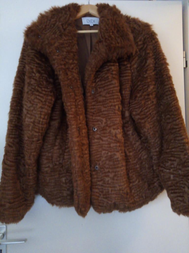 Didi winterjas maat 48, Ophalen, Bruin, Maat 46/48 (XL) of groter, Didi