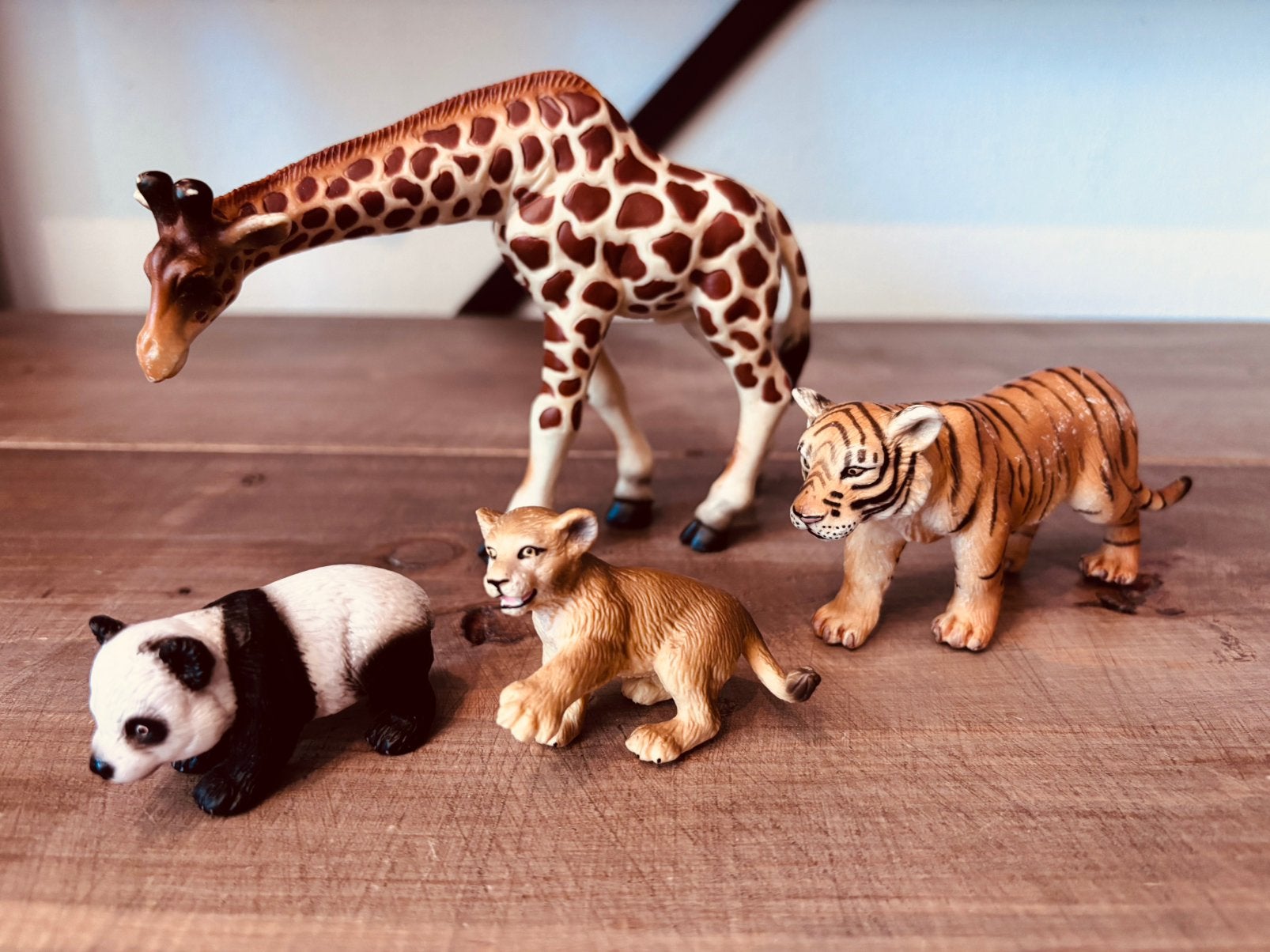 Schleich dieren: giraffe, tijger, leeuwen welp en panda., Ophalen of Verzenden, Gebruikt