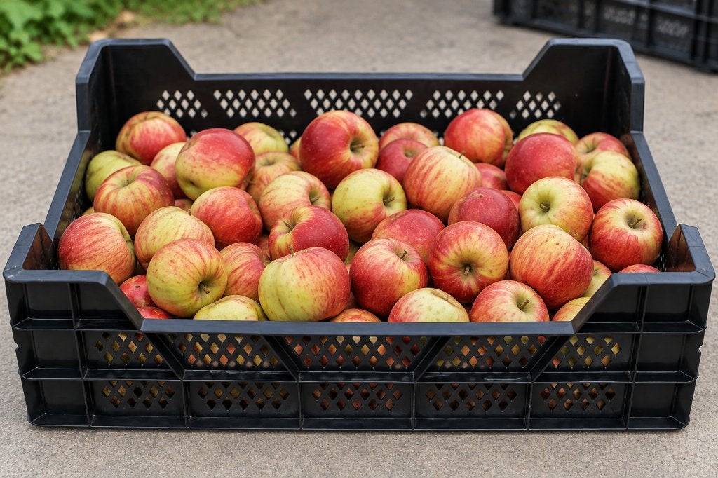 25 Veenmankisten €100  opslag  walnoten, appels, aardappels