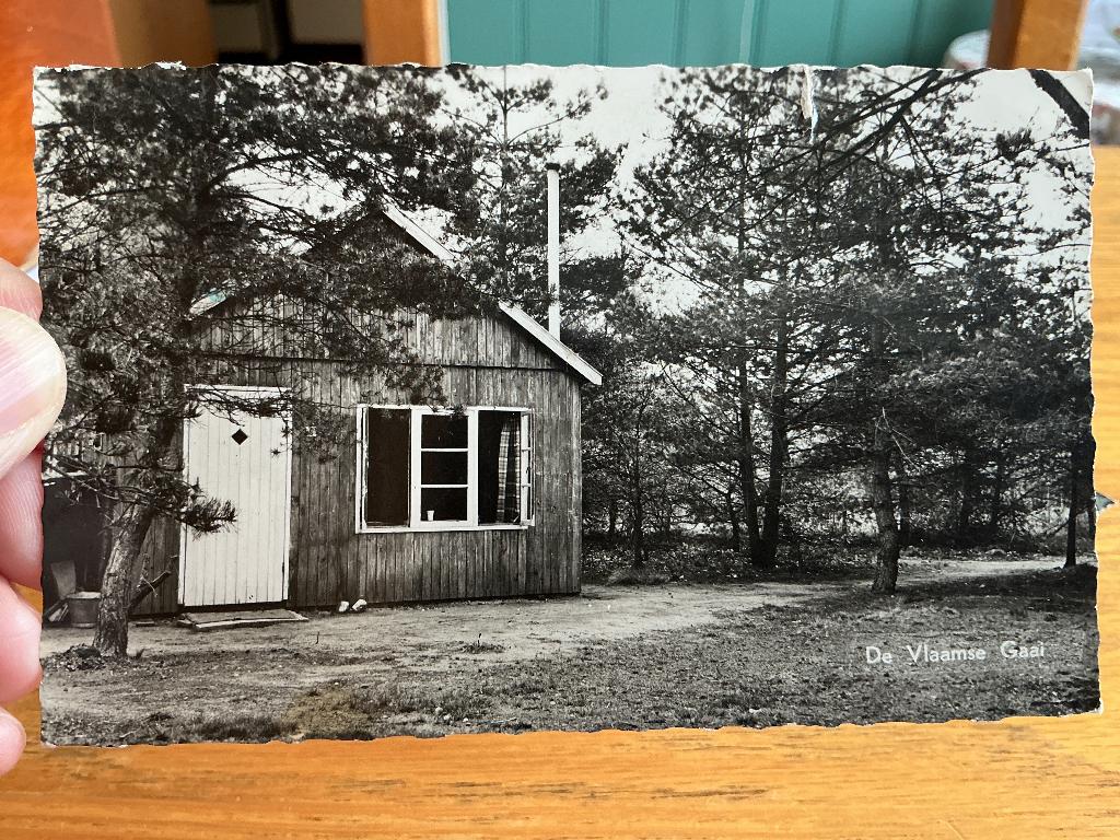 Ede de Vlaamse gaai, Verzamelen, Verzenden, 1960 tot 1980, Gelopen, Gelderland
