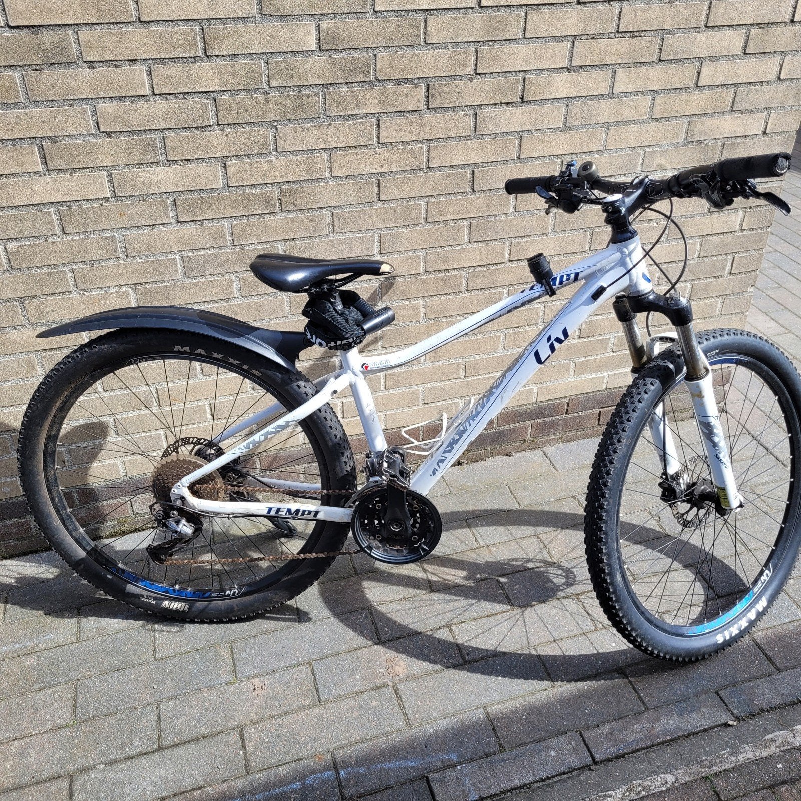 Liv Tempt mountainbike - Dames -, Fietsen en Brommers, Fietsen | Mountainbikes en ATB, Gebruikt, Hardtail, 45 tot 49 cm, Dames