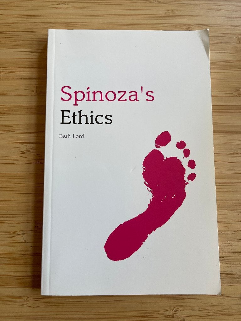 Spinoza's Ethics Beth Lord, Boeken, Ophalen of Verzenden, Gelezen, Wijsbegeerte of Ethiek