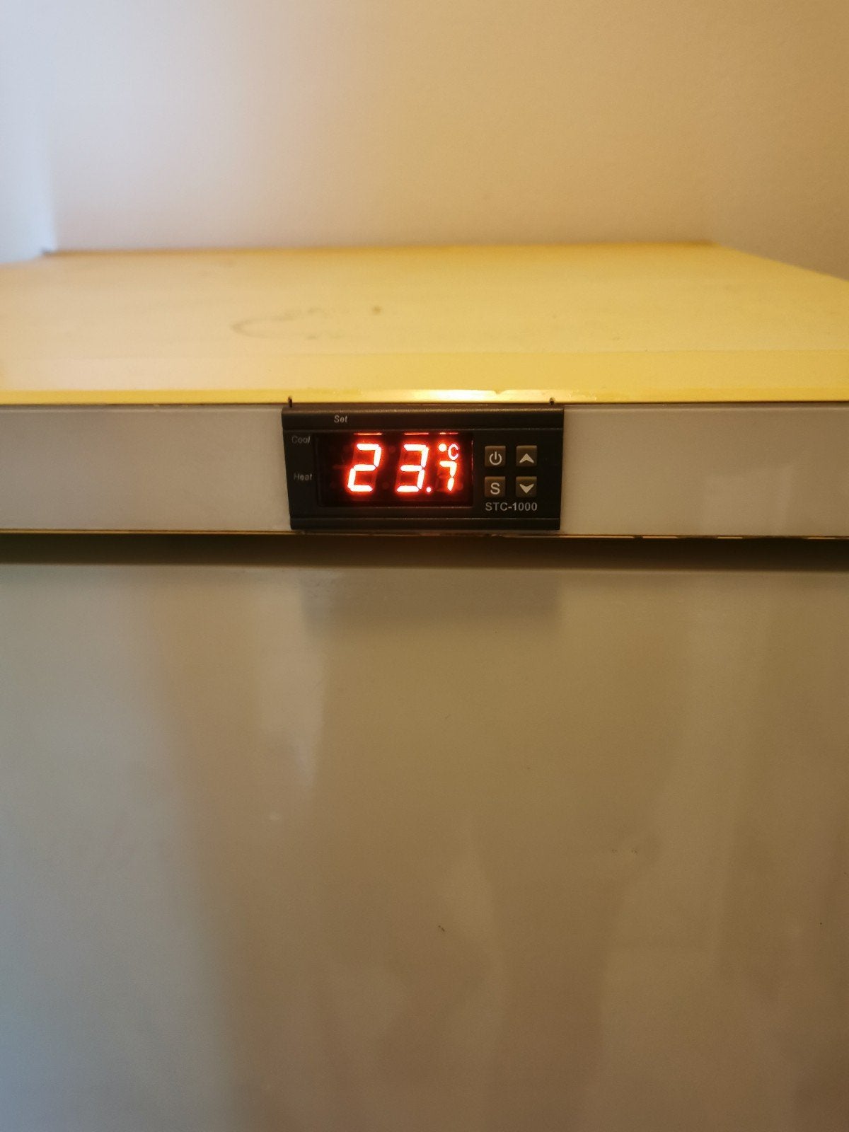 Gistingskast / klimaatkast voor bierbrouwen (met STC-1000), Ophalen, 160 cm of meer