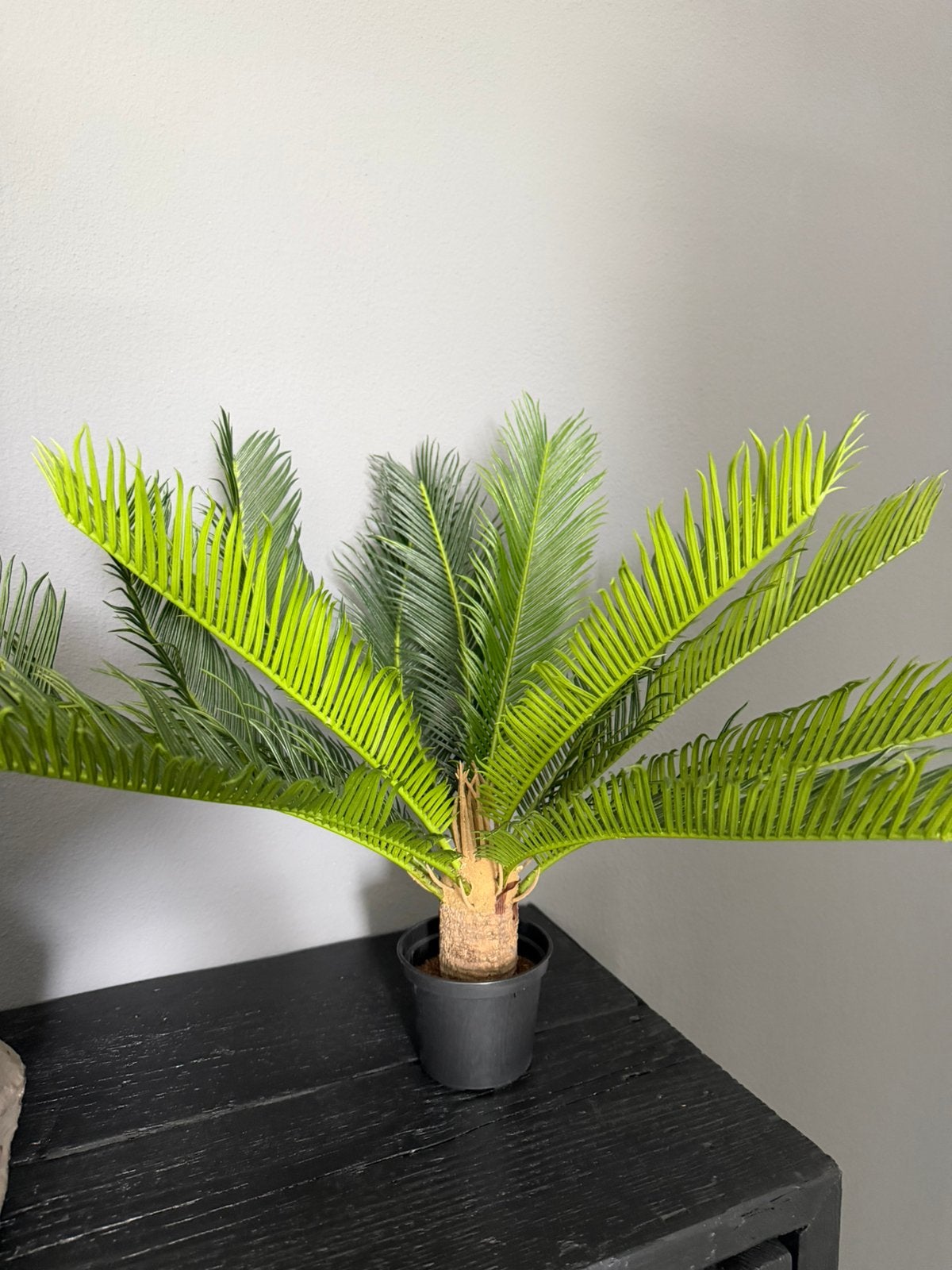 Kunstplant Cycas, Ophalen, Zo goed als nieuw