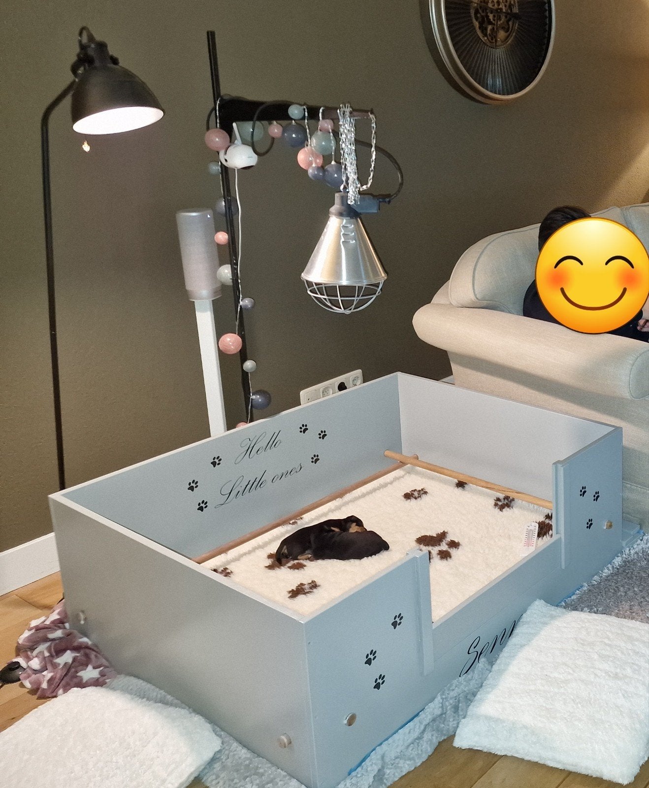 TE HUUR!! Werpkist met toebehoren voor de bijzondere tijd!, Dieren en Toebehoren, Ophalen, Zo goed als nieuw, Overige