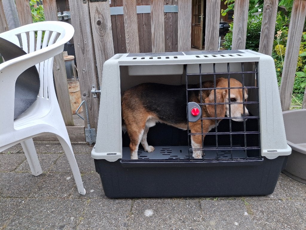 Vervoerbox hond Ferplast, Ophalen, Gebruikt