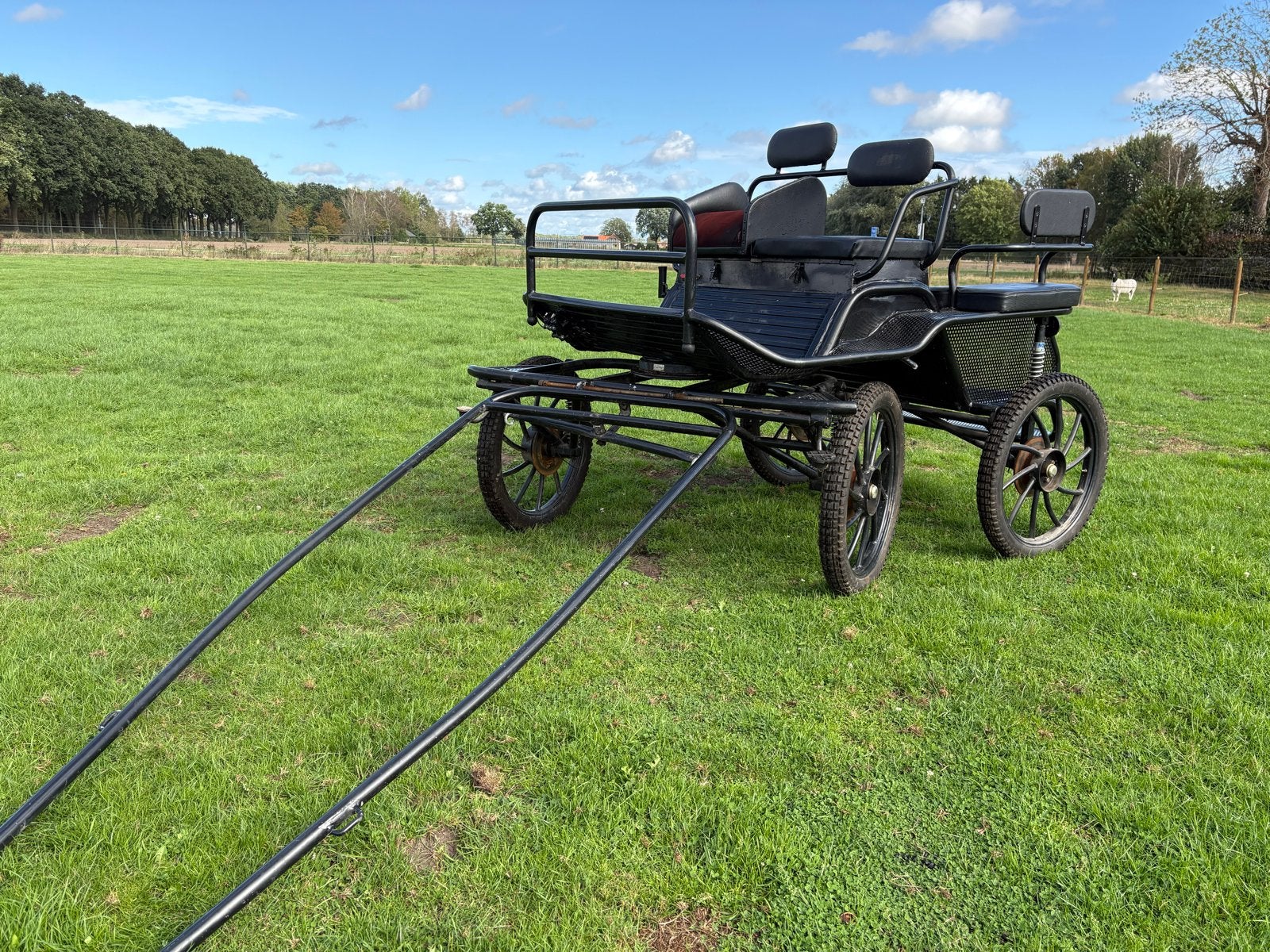 Marathonwagen, Zo goed als nieuw, Marathonwagen, Paard of Pony