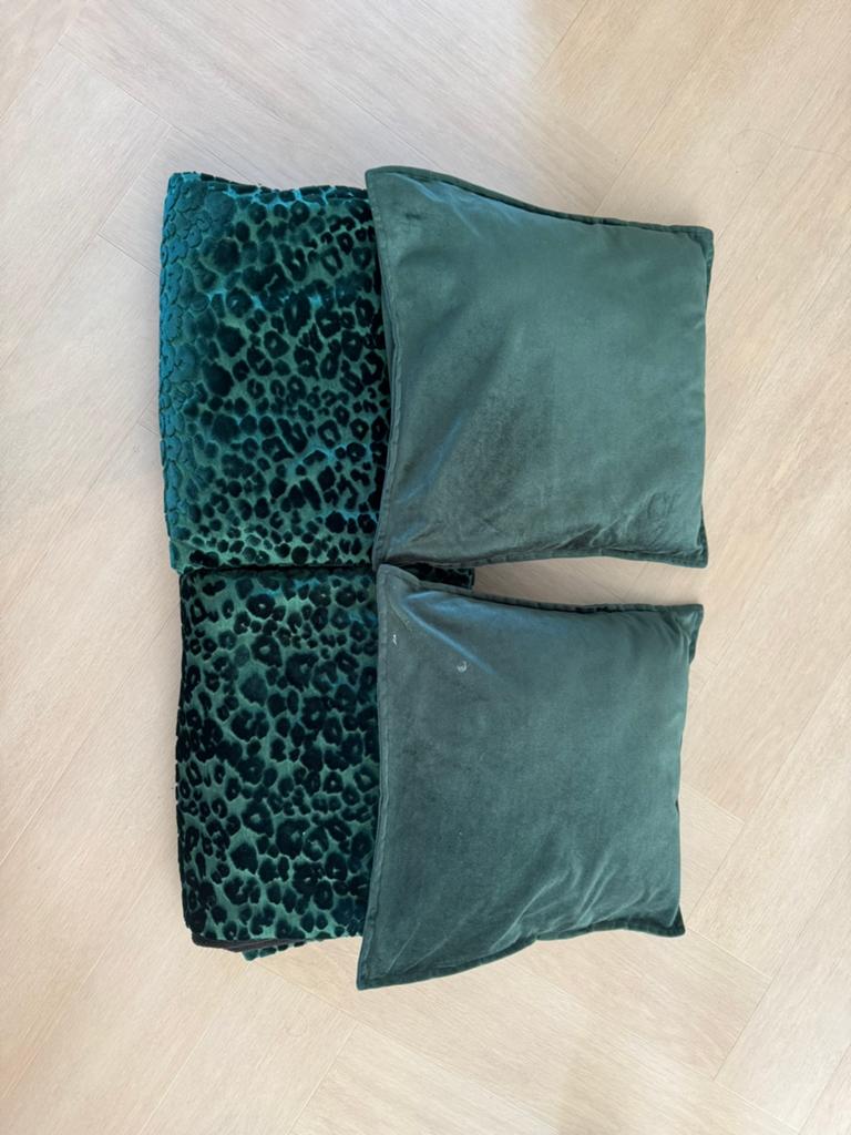 Groene kussens en plaids, Ophalen, Gebruikt, Groen, Vierkant