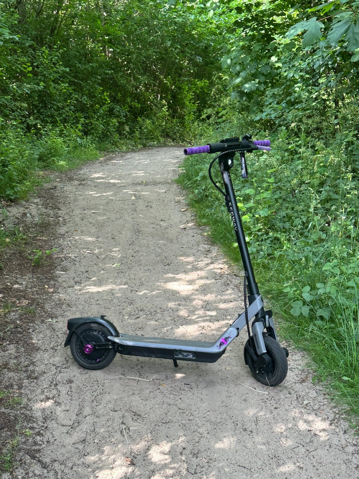Gecustomized E3 pro e Segway/Ninebot, Fietsen en Brommers, Steps, Zo goed als nieuw, Elektrische step (E-scooter), Ophalen