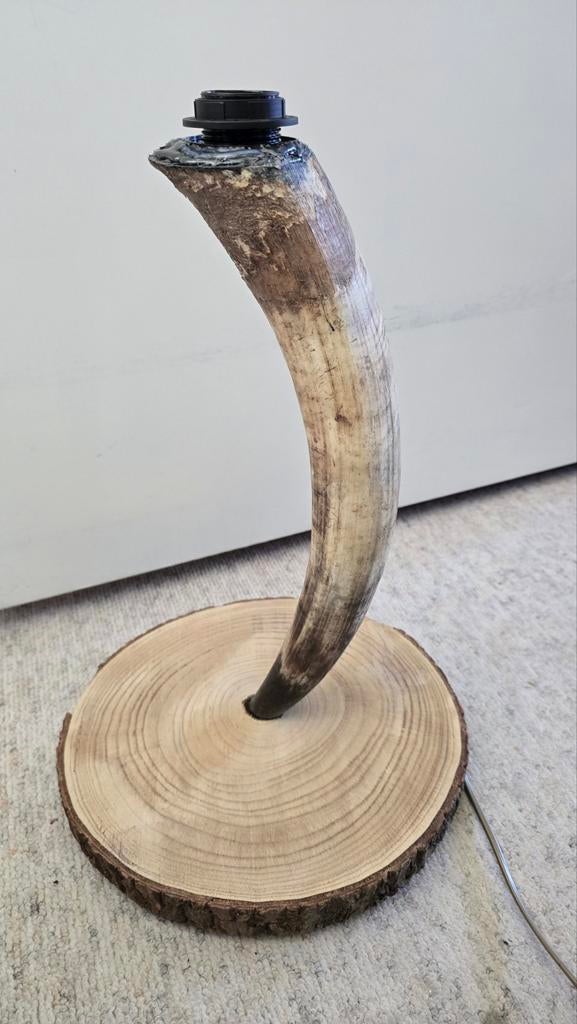 Unieke Longhoorn Lampenvoet - Landelijk Interieur, Gebruikt, 50 tot 75 cm, Ophalen of Verzenden, Landelijk