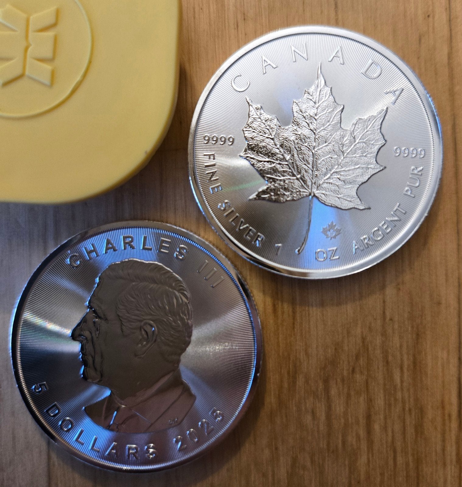 zilver maple leaf 2025 1 oz 9999 canada dollar tube, Ophalen of Verzenden, Zilver