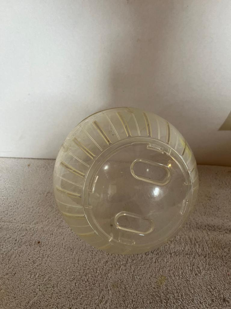 Hamster bal, Dieren en Toebehoren, Ophalen of Verzenden, Loopwiel of Rad