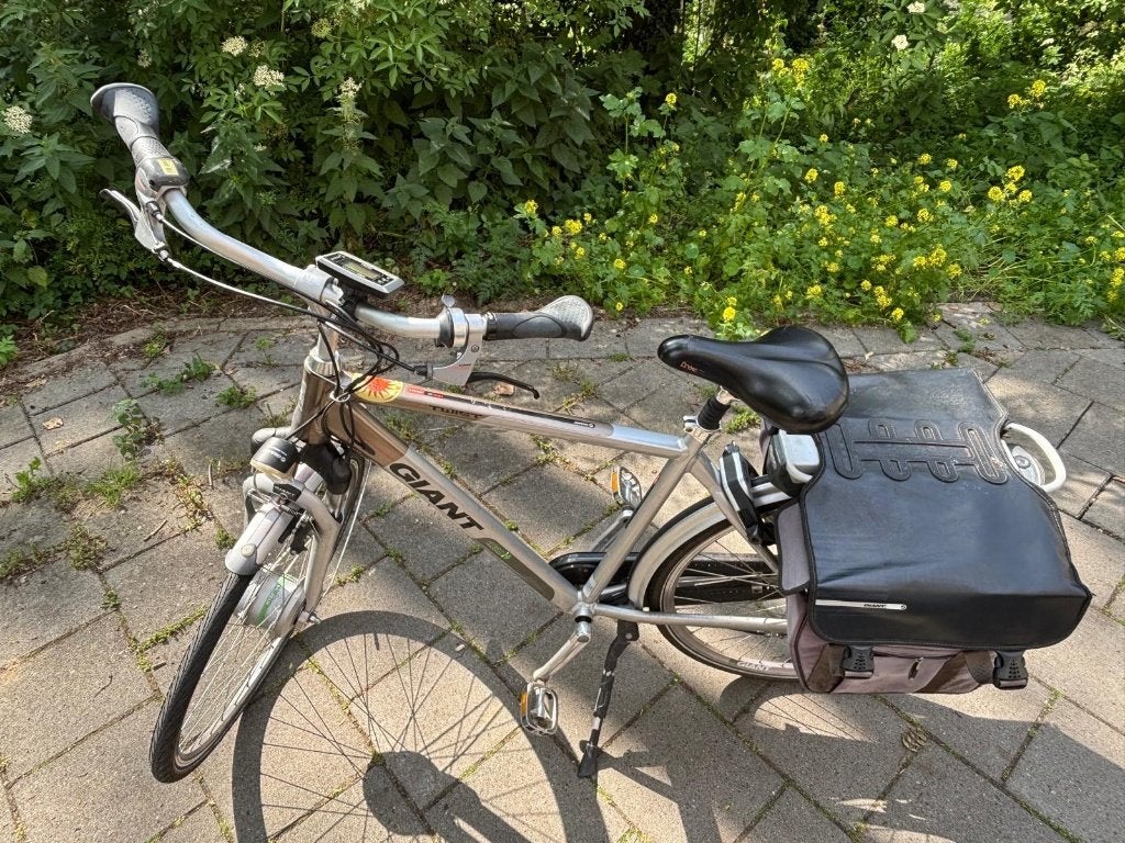 Giant Twist Go Double electric bike, Fietsen en Brommers, Elektrische fietsen, Ophalen, Gebruikt, 50 km per accu of meer, Giant
