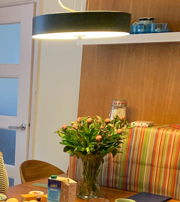 Hue Enrave Hanglamp White Amb. Black - Philips Hue, Huis en Inrichting, Lampen | Hanglampen, Ophalen, Zo goed als nieuw, Glas