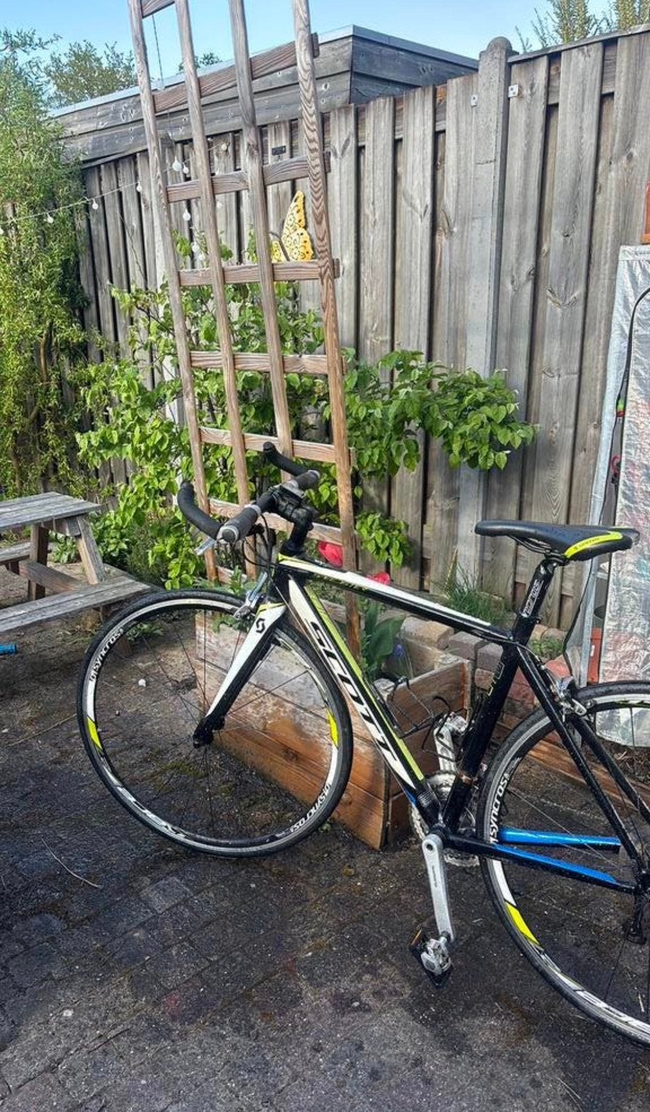 Scott speedster 40, Gebruikt, Aluminium, 49 tot 53 cm, Overige maten