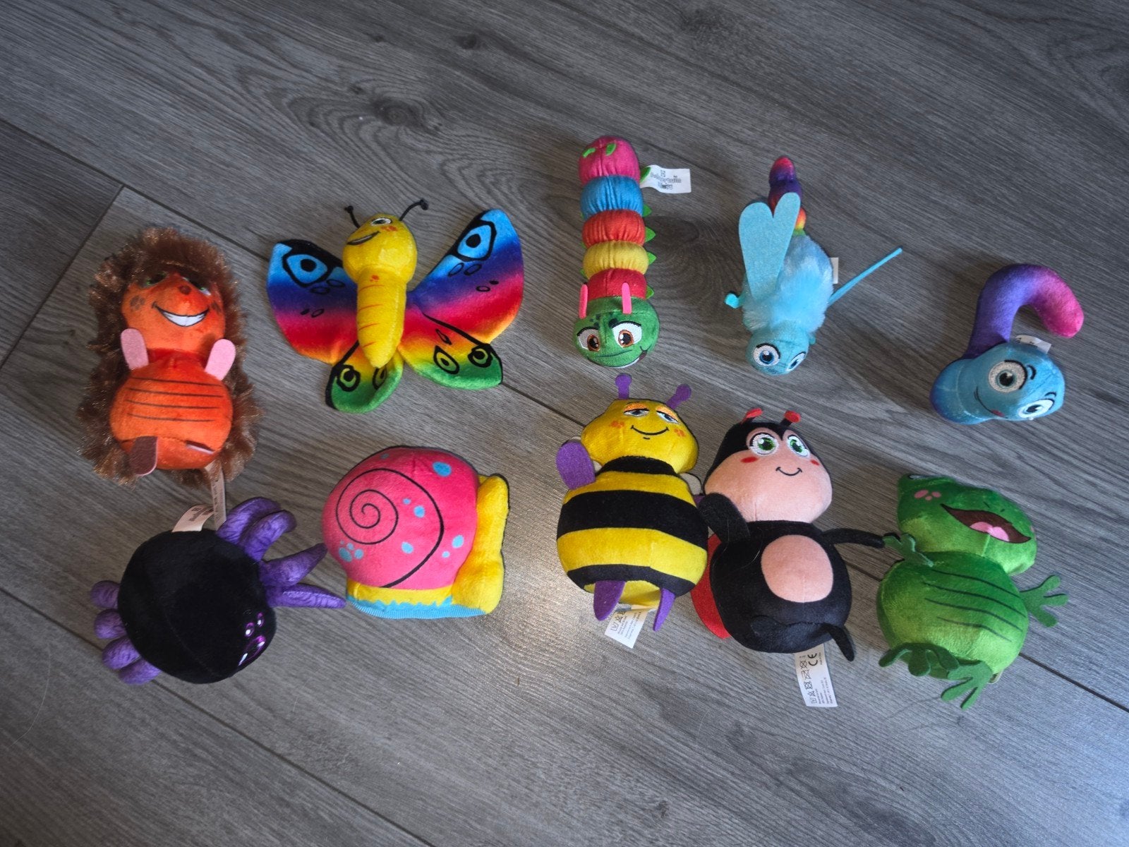 lidl achtertuin mini's, Ophalen of Verzenden