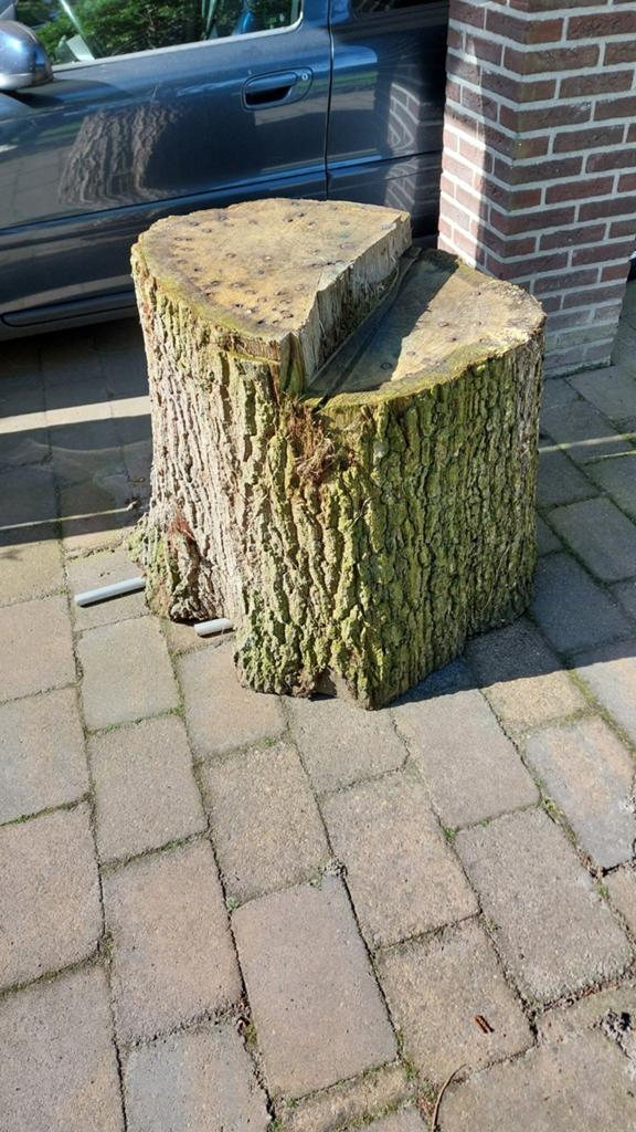 Grote boomstam Gratis., Tuin en Terras, Minder dan 3 m³, Ophalen