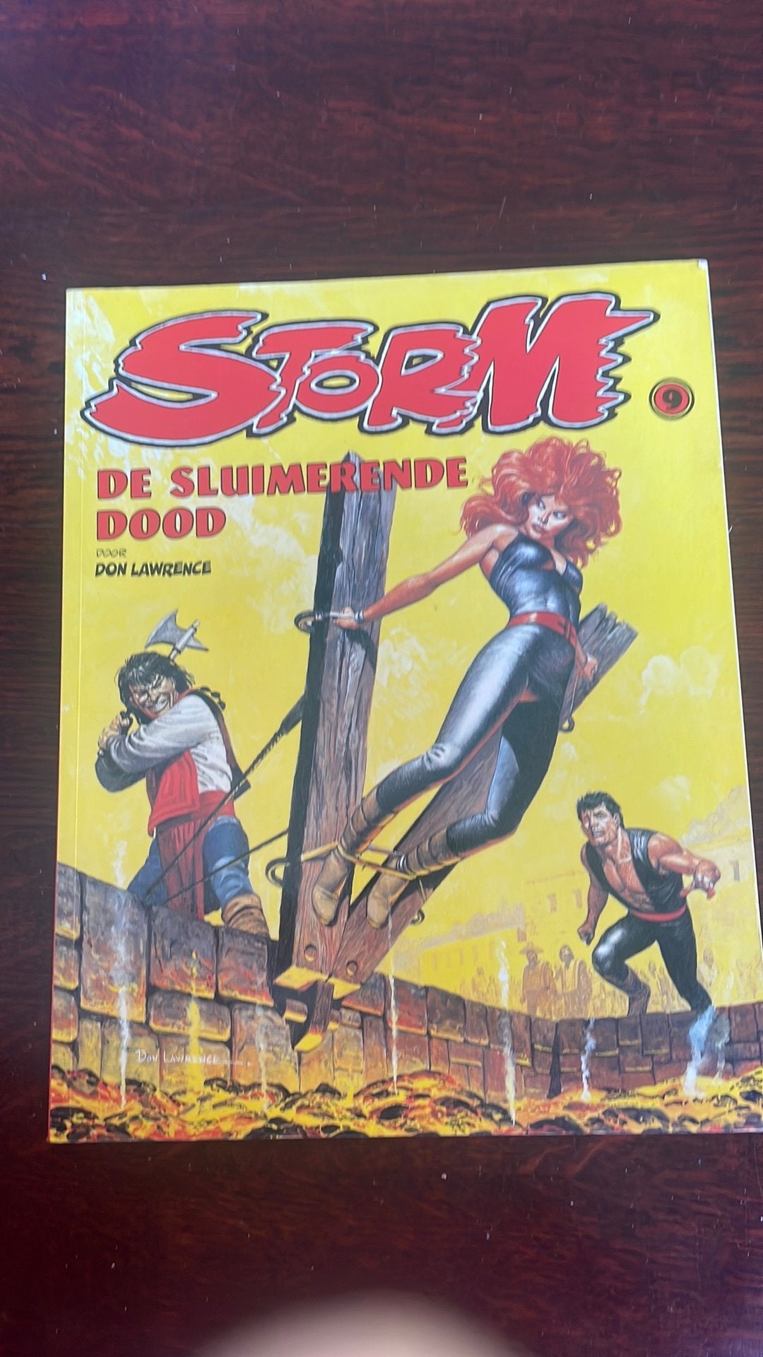Storm 9 - de sluimerende dood, Boeken, Eén stripboek, Ophalen of Verzenden, Zo goed als nieuw