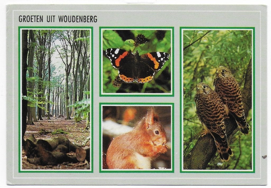 Woudenberg Gelopen Ansichtkaart ( B6158 ), Ophalen of Verzenden, 1980 tot heden, Gelopen
