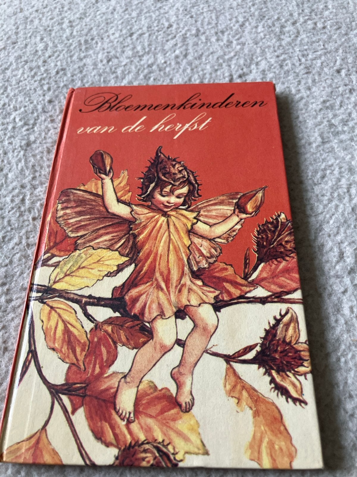 Bloemenkinderen van de herfst - Cicely Mary Barker, Ophalen of Verzenden, Gelezen, Sprookjes