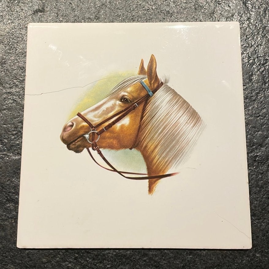 Vintage Mosa Holland Tegel met Paardenhoofd - 151,5 mm, Ophalen of Verzenden