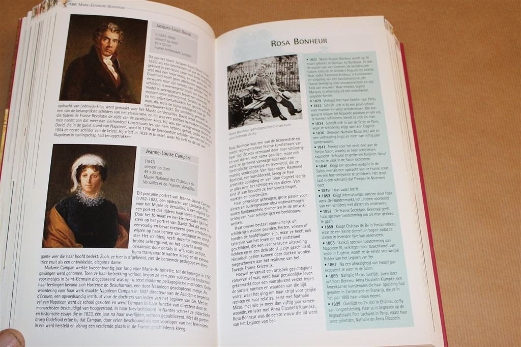 Grote Meesters — Westerse Schilderessen — 480 Pagina’s, Ophalen of Verzenden, Zo goed als nieuw