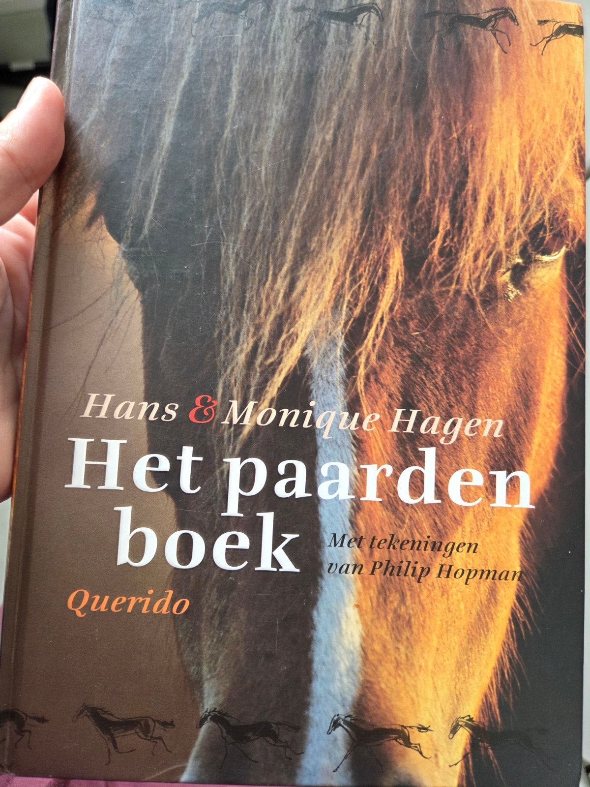 Het Paardenboek - Hans & Monique Hagen (Querido), Ophalen of Verzenden, Zo goed als nieuw, Paarden of Pony's, Hans & Monique Hagen