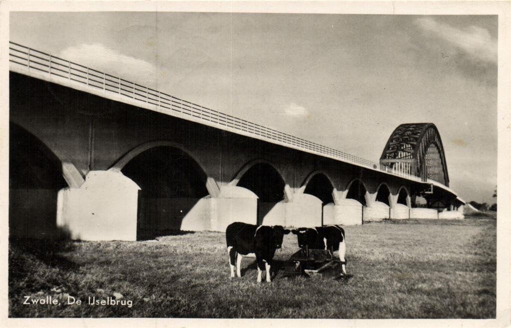 Zwolle, De IJselbrug - koeien - gelopen, Verzamelen, Ansichtkaarten | Nederland, Gelopen, Overijssel, 1960 tot 1980, Ophalen of Verzenden