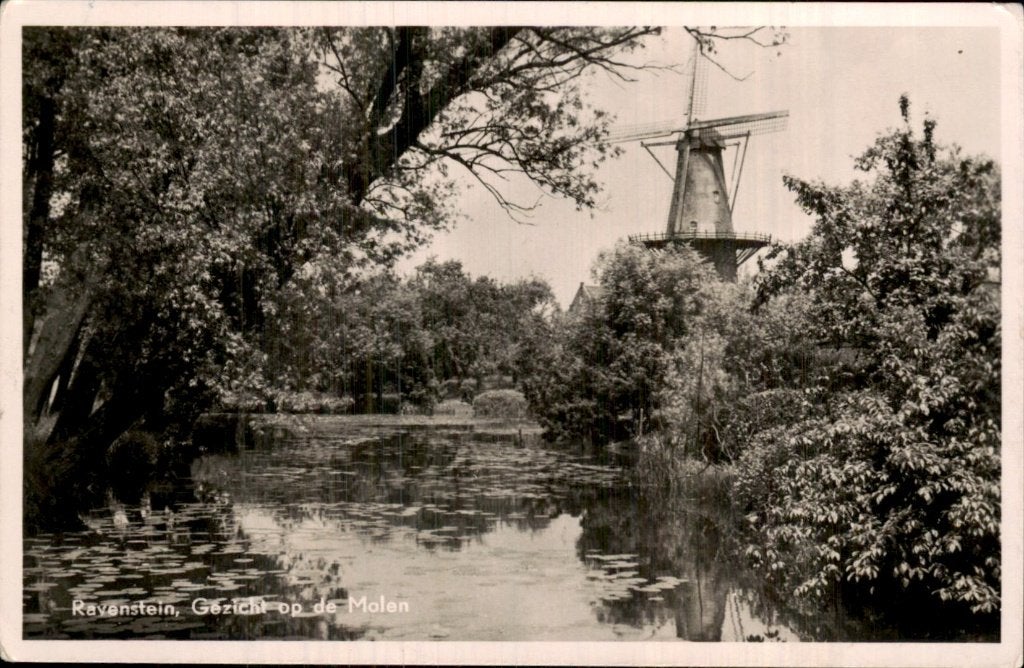 Ravenstein - Molen - Gezicht op de molen, Verzamelen, Ansichtkaarten | Nederland, Ophalen of Verzenden, 1940 tot 1960, Gelopen