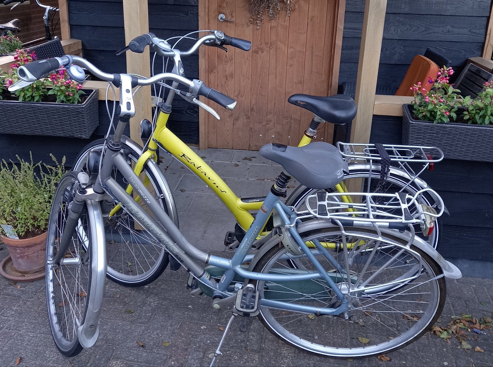 Damesfietsen 53 en 57 cm frame, Ophalen, Versnellingen, Batavus, 53 tot 56 cm